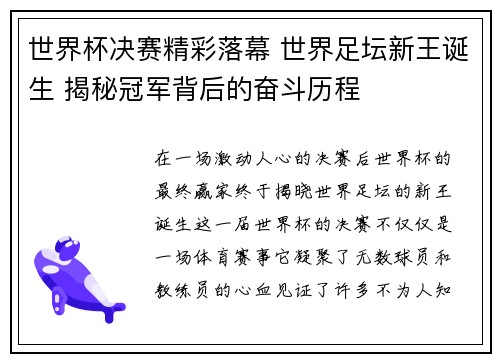 世界杯决赛精彩落幕 世界足坛新王诞生 揭秘冠军背后的奋斗历程